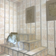 Image: Ryan F Mandelbaum/Anicka Yi/The Guggenheim Museum